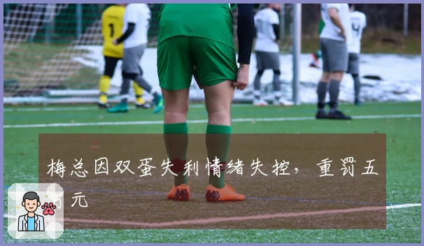 梅总因双蛋失利情绪失控，重罚五万元