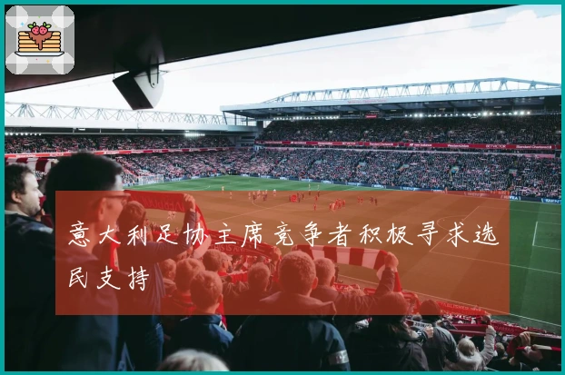 意大利足协主席竞争者积极寻求选民支持