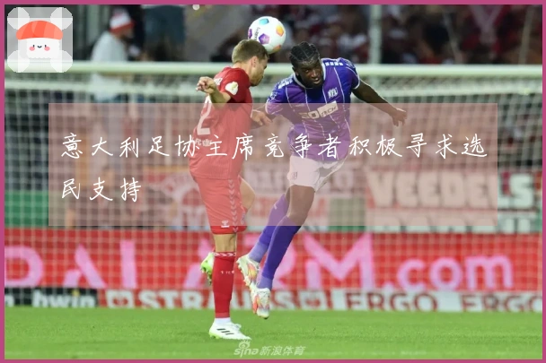 意大利足协主席竞争者积极寻求选民支持