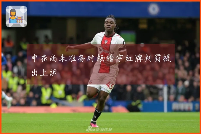 申花尚未准备对杨皓宇红牌判罚提出上诉